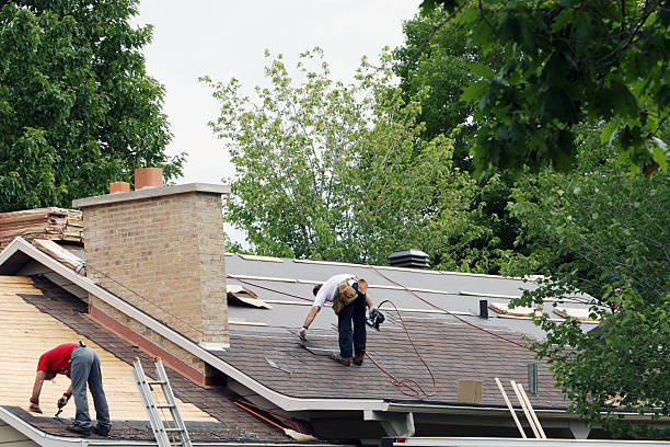 Roof Gutter Cleaning in Catasauqua, PA