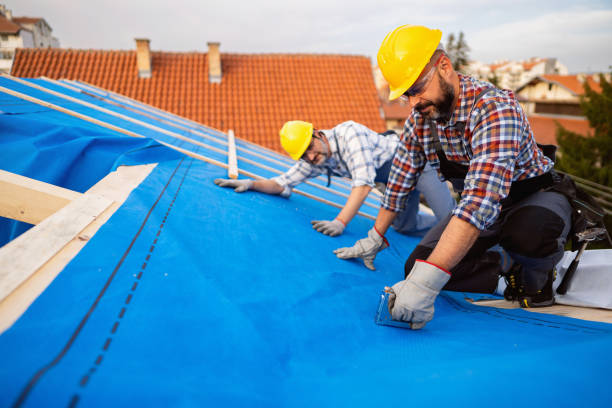 Best Storm Damage Roof Repair  in Catasauqua, PA